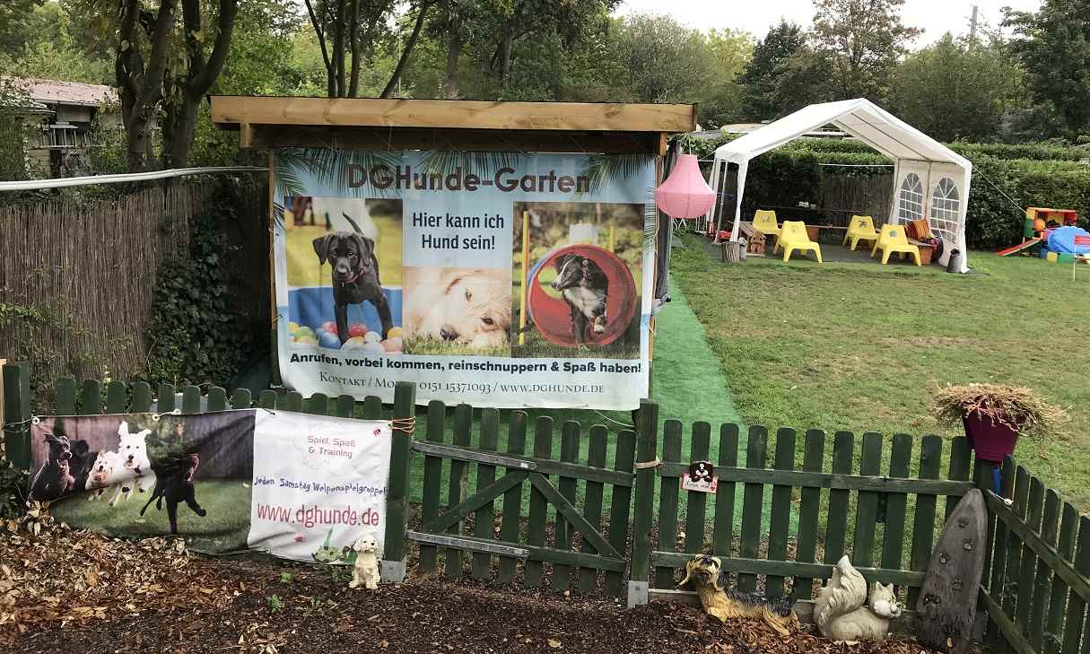 DGHunde-Garten ein idealer Ort für Welpenspielgruppen und Junghundestunden